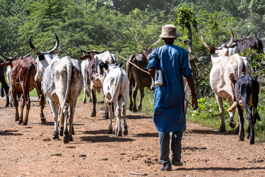 Fulani leaders seek ranches, 30% farm budget allocation