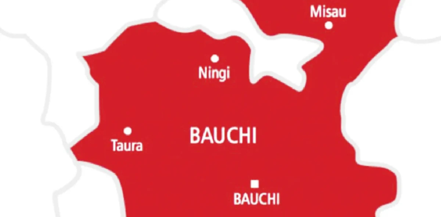 Stepmother, 19-year-old arrested over Bauchi children’s deaths