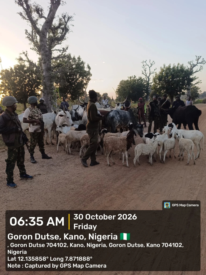 Soldiers kill three terrorists in Kaduna, Sokoto, recover cows, sheep